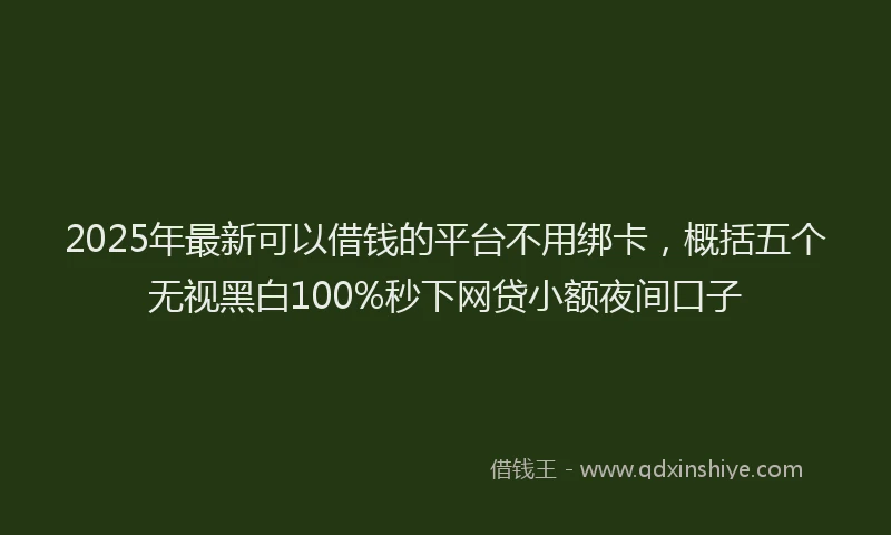2025年最新可以借钱的平台不用绑卡，概括五个无视黑白100%秒下网贷小额夜间口子