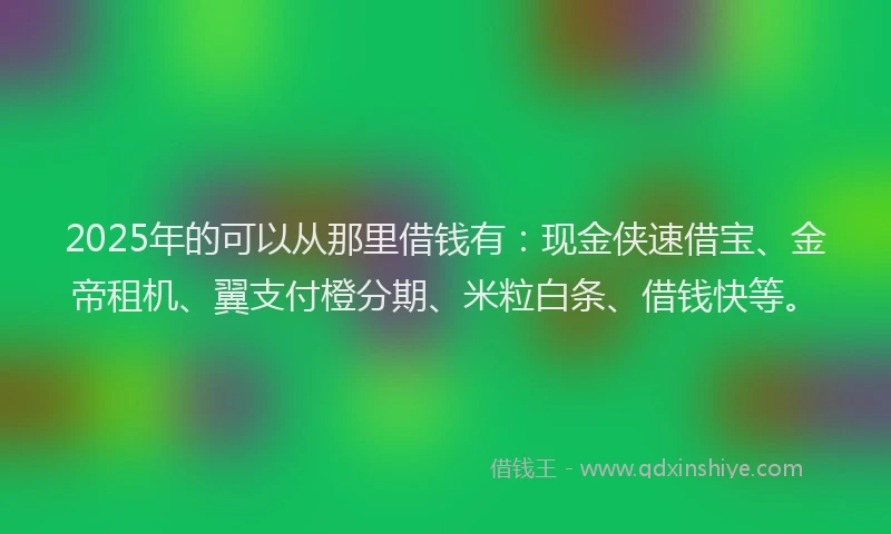 2025年的可以从那里借钱有：现金侠速借宝、金帝租机、翼支付橙分期、米粒白条、借钱快等。