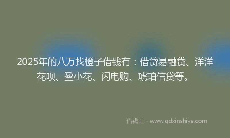 2025年的八万找橙子借钱有：借贷易融贷、洋洋花呗、盈小花、闪电购、琥珀信贷等。