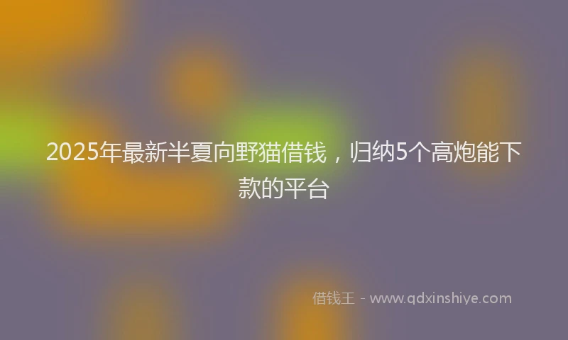 2025年最新半夏向野猫借钱，归纳5个高炮能下款的平台