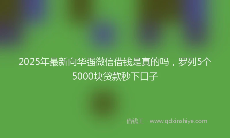 2025年最新向华强微信借钱是真的吗，罗列5个5000块贷款秒下口子
