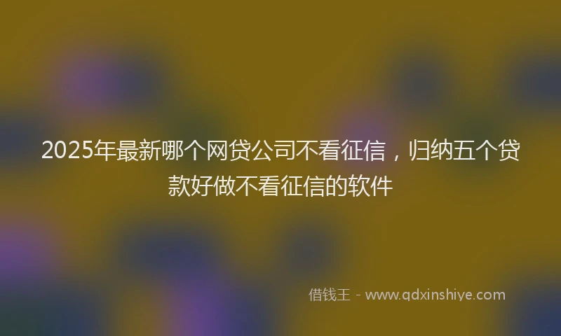 2025年最新哪个网贷公司不看征信，归纳五个贷款好做不看征信的软件