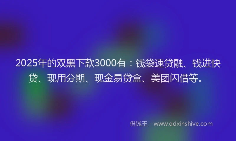 2025年的双黑下款3000有：钱袋速贷融、钱进快贷、现用分期、现金易贷盒、美团闪借等。