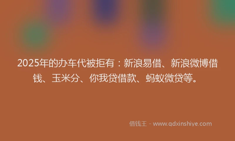 2025年的办车代被拒有：新浪易借、新浪微博借钱、玉米分、你我贷借款、蚂蚁微贷等。