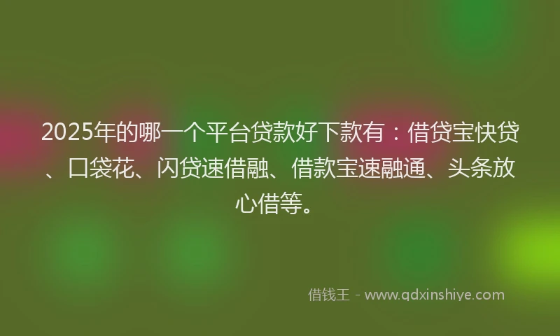 2025年的哪一个平台贷款好下款有：借贷宝快贷、口袋花、闪贷速借融、借款宝速融通、头条放心借等。