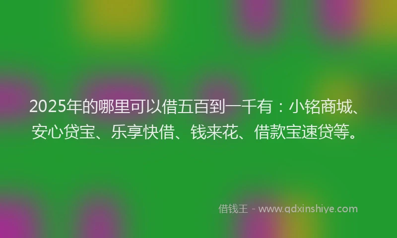 2025年的哪里可以借五百到一千有：小铭商城、安心贷宝、乐享快借、钱来花、借款宝速贷等。