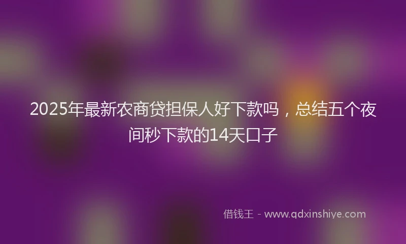 2025年最新农商贷担保人好下款吗，总结五个夜间秒下款的14天口子