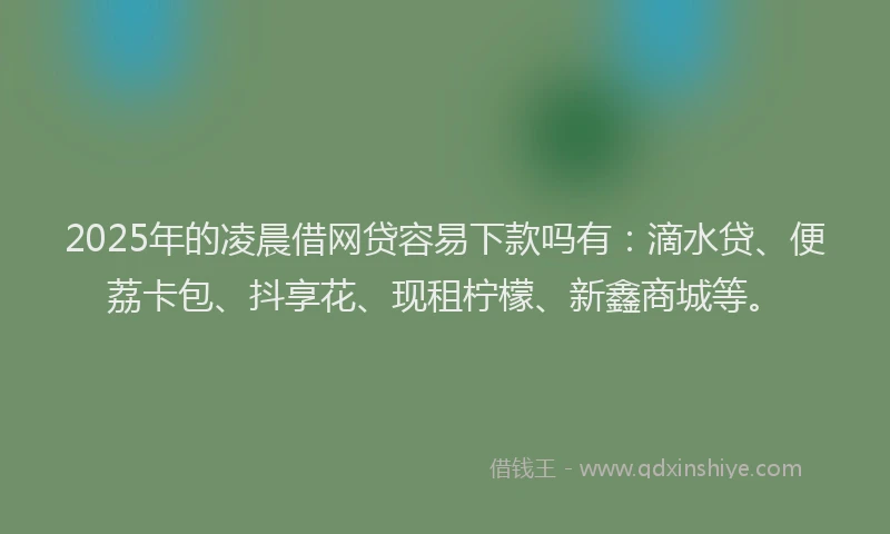 2025年的凌晨借网贷容易下款吗有：滴水贷、便荔卡包、抖享花、现租柠檬、新鑫商城等。