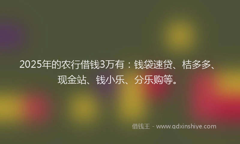 2025年的农行借钱3万有：钱袋速贷、桔多多、现金站、钱小乐、分乐购等。