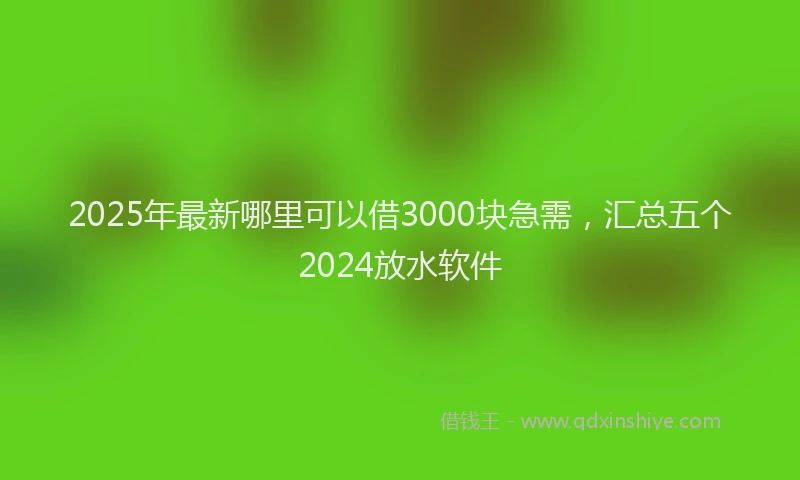 2025年最新哪里可以借3000块急需，汇总五个2024放水软件