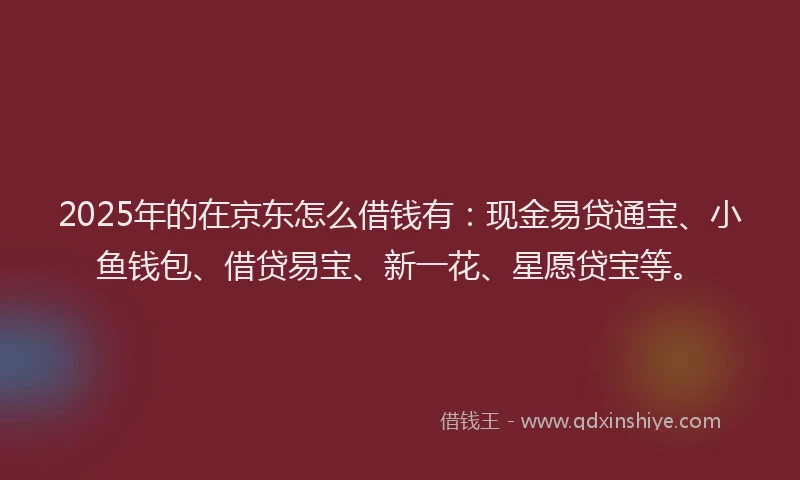 2025年的在京东怎么借钱有：现金易贷通宝、小鱼钱包、借贷易宝、新一花、星愿贷宝等。