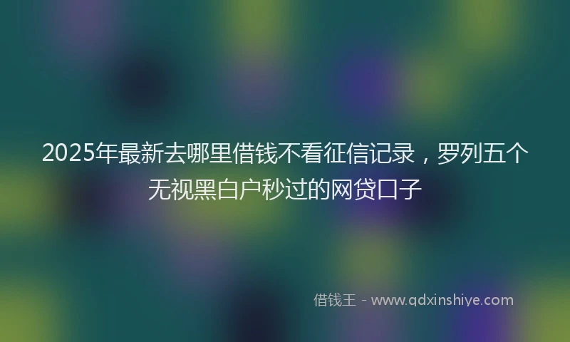 2025年最新去哪里借钱不看征信记录，罗列五个无视黑白户秒过的网贷口子