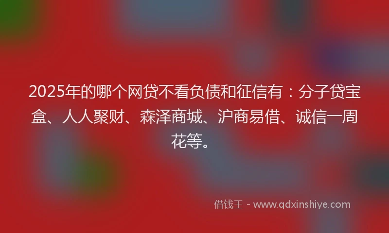 2025年的哪个网贷不看负债和征信有：分子贷宝盒、人人聚财、森泽商城、沪商易借、诚信一周花等。