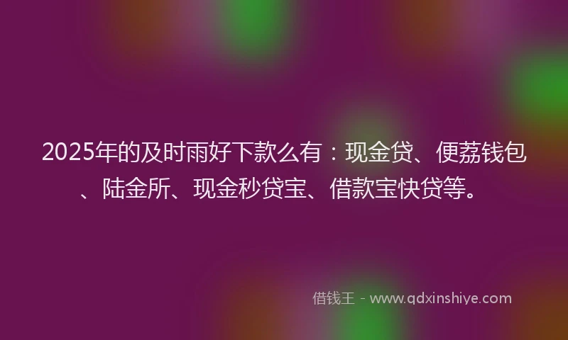 2025年的及时雨好下款么有：现金贷、便荔钱包、陆金所、现金秒贷宝、借款宝快贷等。