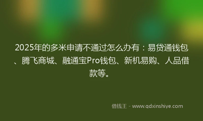 2025年的多米申请不通过怎么办有：易贷通钱包、腾飞商城、融通宝Pro钱包、新机易购、人品借款等。