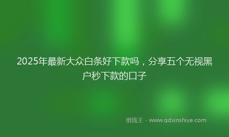 2025年最新大众白条好下款吗，分享五个无视黑户秒下款的口子