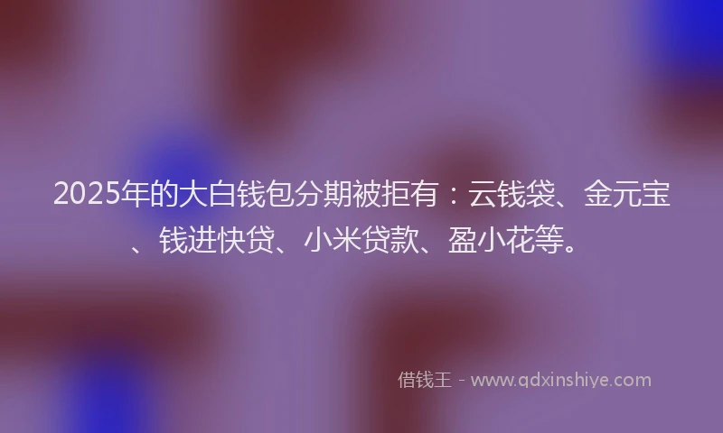 2025年的大白钱包分期被拒有：云钱袋、金元宝、钱进快贷、小米贷款、盈小花等。