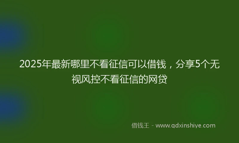 2025年最新哪里不看征信可以借钱，分享5个无视风控不看征信的网贷
