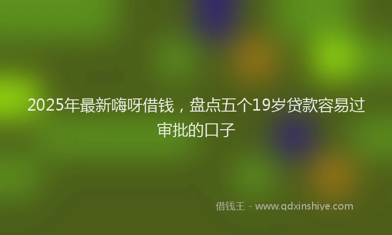 2025年最新嗨呀借钱，盘点五个19岁贷款容易过审批的口子