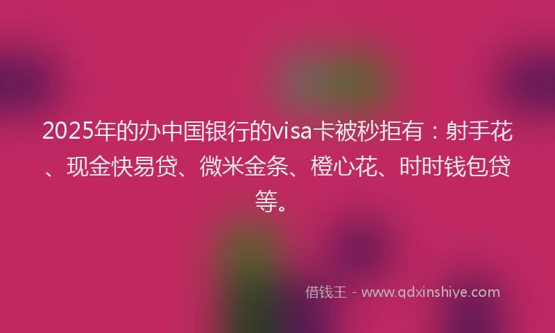2025年的办中国银行的visa卡被秒拒有：射手花、现金快易贷、微米金条、橙心花、时时钱包贷等。