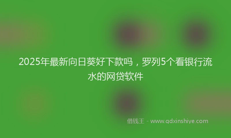 2025年最新向日葵好下款吗，罗列5个看银行流水的网贷软件