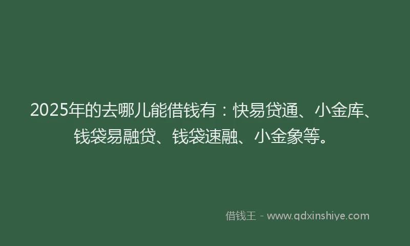 2025年的去哪儿能借钱有：快易贷通、小金库、钱袋易融贷、钱袋速融、小金象等。
