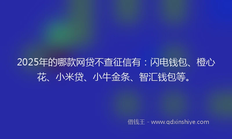 2025年的哪款网贷不查征信有：闪电钱包、橙心花、小米贷、小牛金条、智汇钱包等。