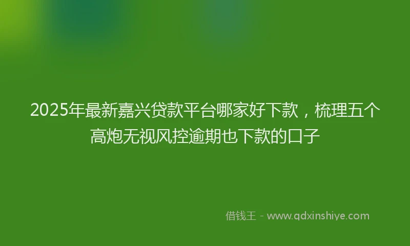2025年最新嘉兴贷款平台哪家好下款，梳理五个高炮无视风控逾期也下款的口子