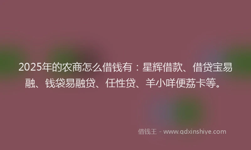 2025年的农商怎么借钱有：星辉借款、借贷宝易融、钱袋易融贷、任性贷、羊小咩便荔卡等。
