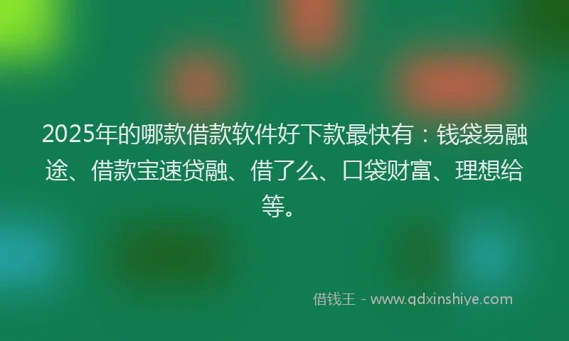 2025年的哪款借款软件好下款最快有：钱袋易融途、借款宝速贷融、借了么、口袋财富、理想给等。