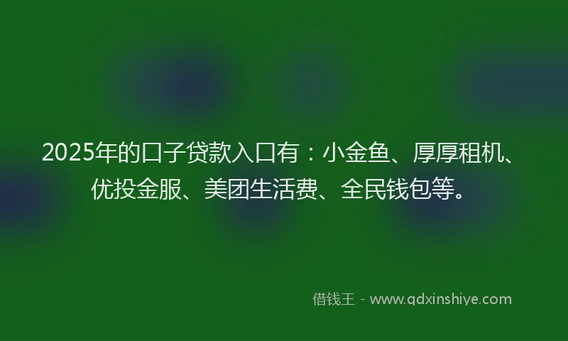 2025年的口子贷款入口有：小金鱼、厚厚租机、优投金服、美团生活费、全民钱包等。