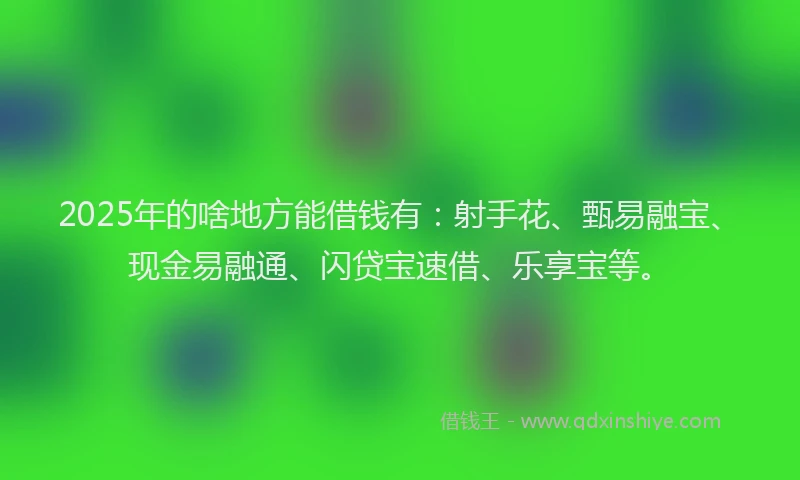 2025年的啥地方能借钱有：射手花、甄易融宝、现金易融通、闪贷宝速借、乐享宝等。
