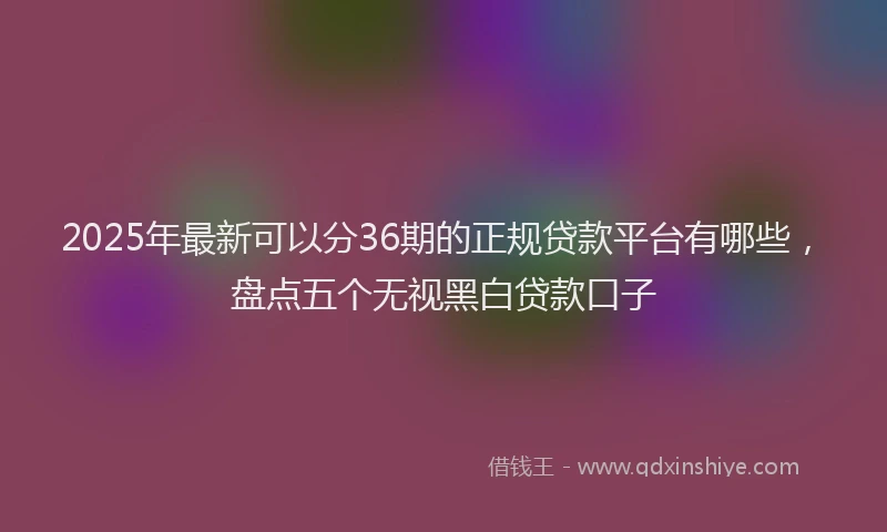 2025年最新可以分36期的正规贷款平台有哪些，盘点五个无视黑白贷款口子