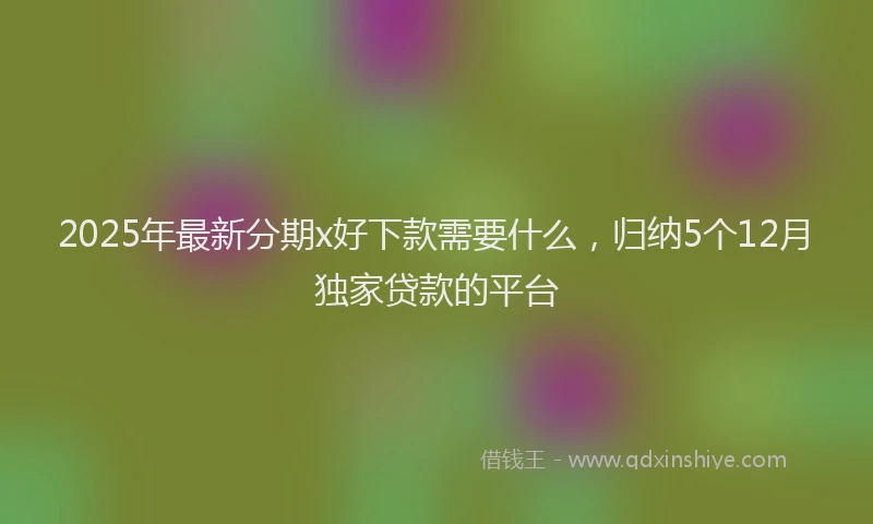 2025年最新分期x好下款需要什么，归纳5个12月独家贷款的平台