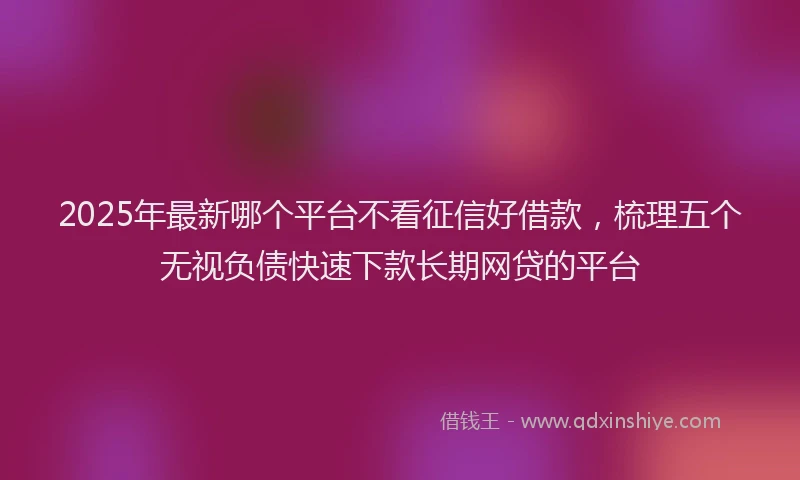 2025年最新哪个平台不看征信好借款，梳理五个无视负债快速下款长期网贷的平台