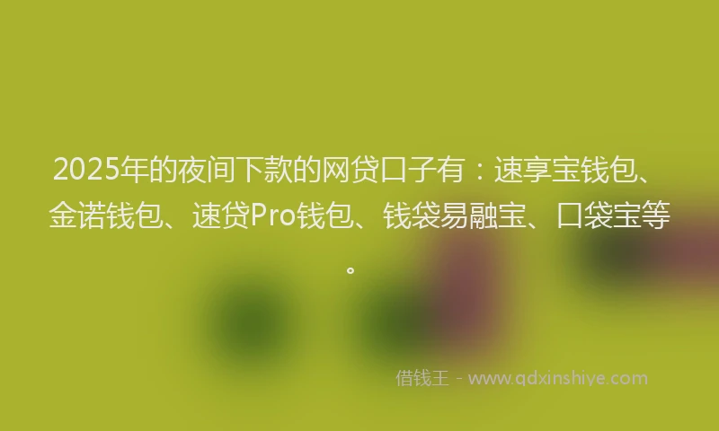 2025年的夜间下款的网贷口子有：速享宝钱包、金诺钱包、速贷Pro钱包、钱袋易融宝、口袋宝等。