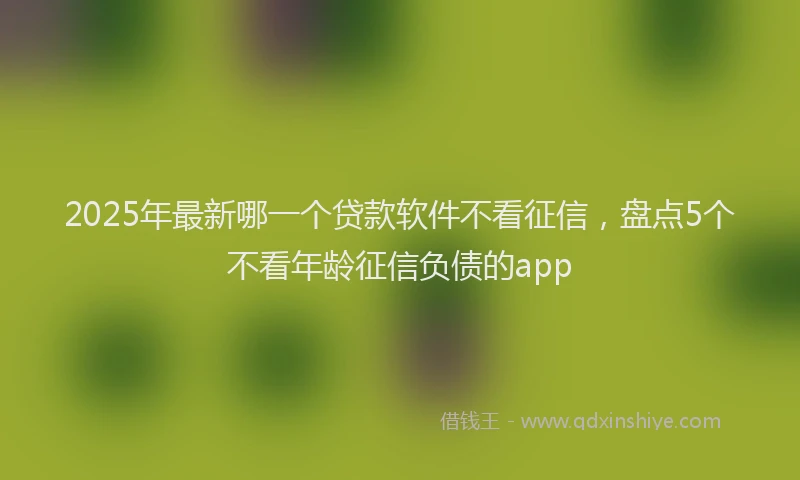 2025年最新哪一个贷款软件不看征信，盘点5个不看年龄征信负债的app