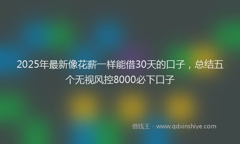 2025年最新像花薪一样能借30天的口子，总结五个无视风控8000必下口子