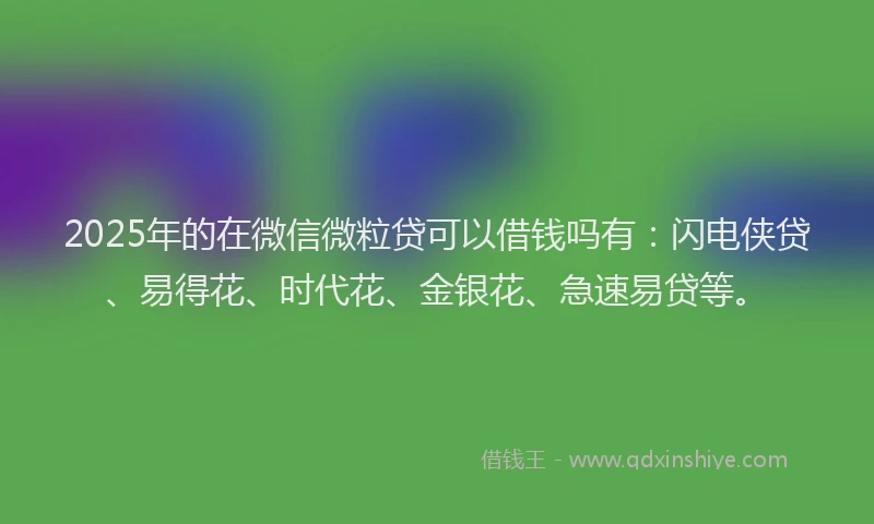 2025年的在微信微粒贷可以借钱吗有：闪电侠贷、易得花、时代花、金银花、急速易贷等。