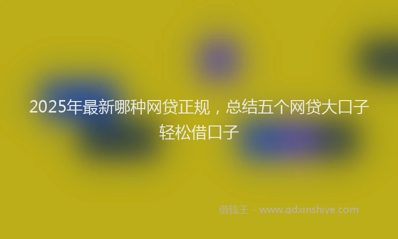 2025年最新哪种网贷正规，总结五个网贷大口子轻松借口子