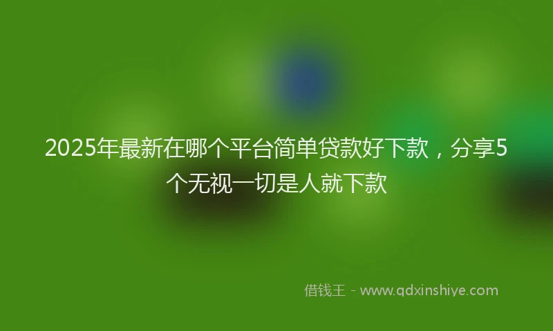 2025年最新在哪个平台简单贷款好下款，分享5个无视一切是人就下款