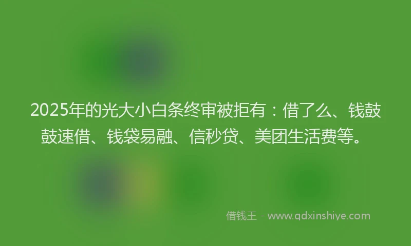 2025年的光大小白条终审被拒有：借了么、钱鼓鼓速借、钱袋易融、信秒贷、美团生活费等。