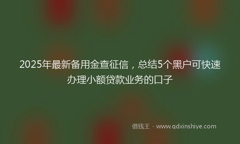 2025年最新备用金查征信，总结5个黑户可快速办理小额贷款业务的口子
