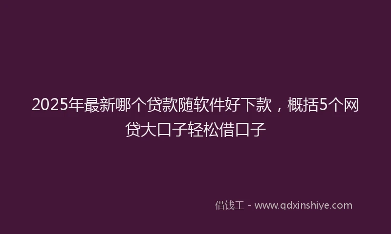 2025年最新哪个贷款随软件好下款，概括5个网贷大口子轻松借口子