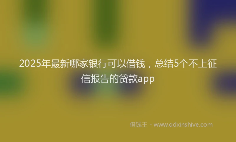 2025年最新哪家银行可以借钱，总结5个不上征信报告的贷款app