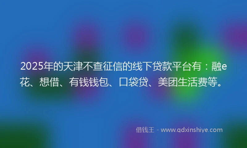 2025年的天津不查征信的线下贷款平台有：融e花、想借、有钱钱包、口袋贷、美团生活费等。