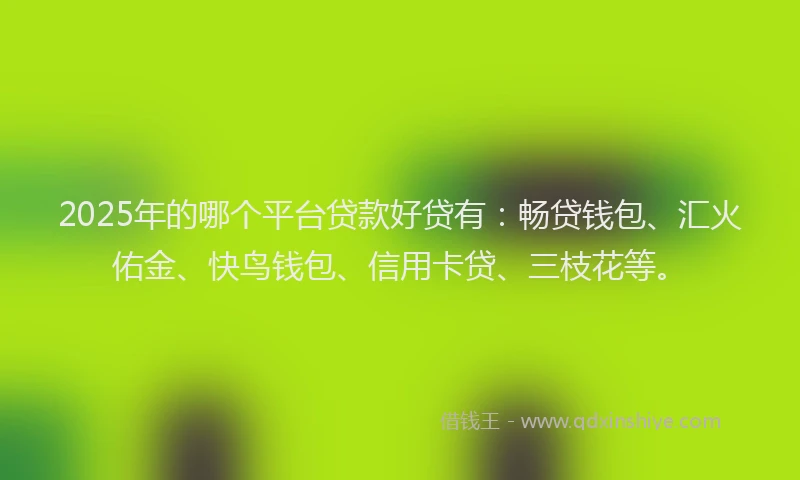 2025年的哪个平台贷款好贷有：畅贷钱包、汇火佑金、快鸟钱包、信用卡贷、三枝花等。