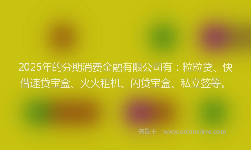 2025年的分期消费金融有限公司有：粒粒贷、快借速贷宝盒、火火租机、闪贷宝盒、私立签等。