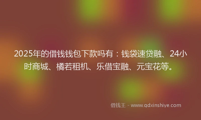 2025年的借钱钱包下款吗有：钱袋速贷融、24小时商城、橘若租机、乐借宝融、元宝花等。