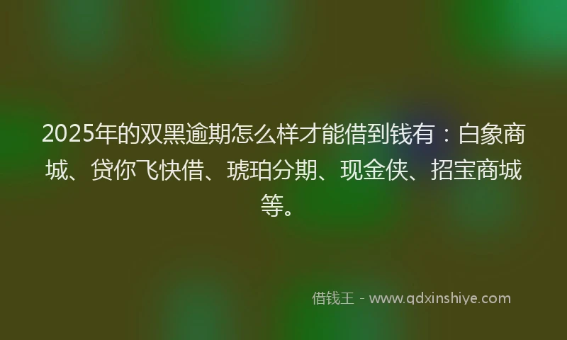 2025年的双黑逾期怎么样才能借到钱有：白象商城、贷你飞快借、琥珀分期、现金侠、招宝商城等。